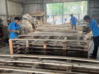 Dịch vụ cung cấp Pallet Gỗ Giá Rẻ tại KCN VSIP 2 Tân Uyên, Bình Dương - Công ty Pallet Minh Phan