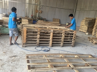  Dịch vụ Đóng Pallet Gỗ Theo Yêu Cầu chất lượng cao tại Tân Uyên, Bình Dương - Công ty Pallet Minh Phan