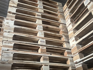 Tầm Nhìn & Sứ Mệnh 