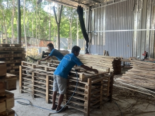 Bộ NN&PTNT trả lời về kiểm dịch thực vật với bao bì đóng gói bằng gỗ