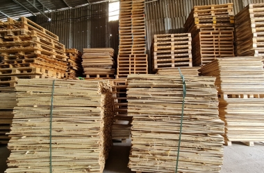 Dịch vụ Cho Thuê Pallet Các Loại - Công ty Pallet Minh Phan, Tân Uyên, Bình Dương
