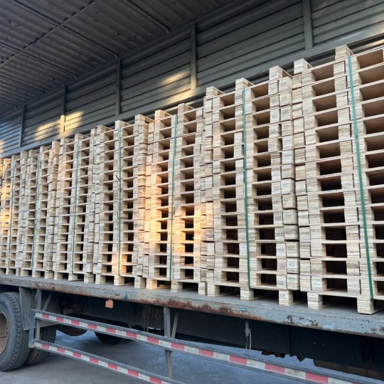 pallet ván ép giá rẻ tân uyên